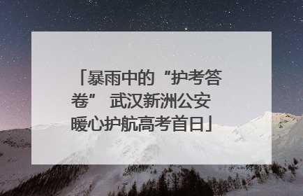 暴雨中的“护考答卷” 武汉新洲公安暖心护航高考首日