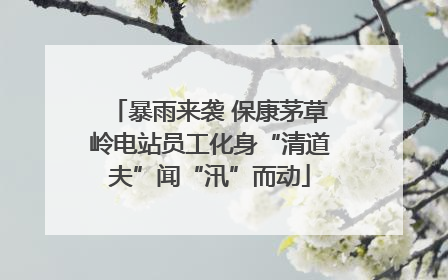 暴雨来袭 保康茅草岭电站员工化身“清道夫”闻“汛”而动