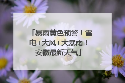 暴雨黄色预警！雷电+大风+大暴雨！安徽最新天气