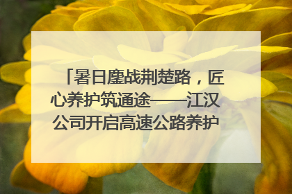 暑日鏖战荆楚路，匠心养护筑通途——江汉公司开启高速公路养护专项工程建设热潮