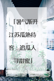 暑气渐升江苏瓜熟待客：追瓜人寻甜蜜