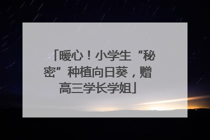 暖心！小学生“秘密”种植向日葵，赠高三学长学姐