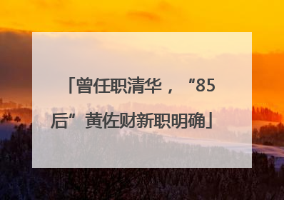 曾任职清华，“85后”黄佐财新职明确