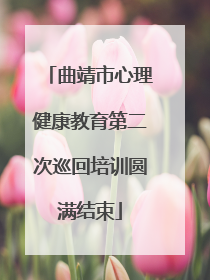 曲靖市心理健康教育第二次巡回培训圆满结束