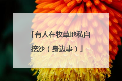有人在牧草地私自挖沙（身边事）