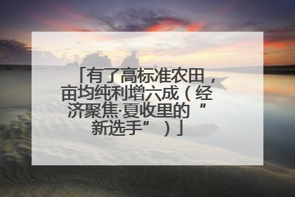 有了高标准农田，亩均纯利增六成（经济聚焦·夏收里的“新选手”）