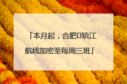 本月起，合肥⇋镇江航线加密至每周三班