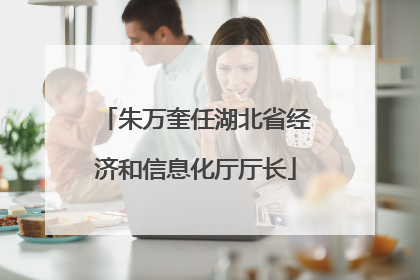 朱万奎任湖北省经济和信息化厅厅长