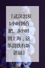 武汉出发1小时到合肥、3小时到上海，这条高铁有新进展