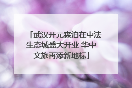 武汉开元森泊在中法生态城盛大开业 华中文旅再添新地标