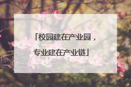 校园建在产业园，专业建在产业链