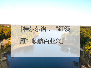 桂东东洛：“红领雁”领航百业兴