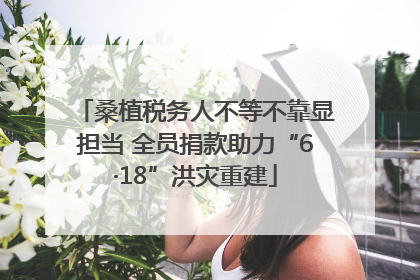 桑植税务人不等不靠显担当 全员捐款助力“6·18”洪灾重建