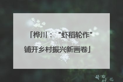 桦川：“虾稻轮作”铺开乡村振兴新画卷