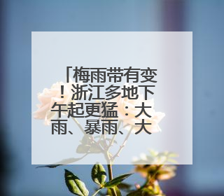 梅雨带有变！浙江多地下午起更猛：大雨、暴雨、大暴雨！