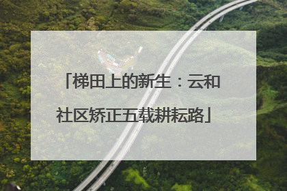 梯田上的新生：云和社区矫正五载耕耘路