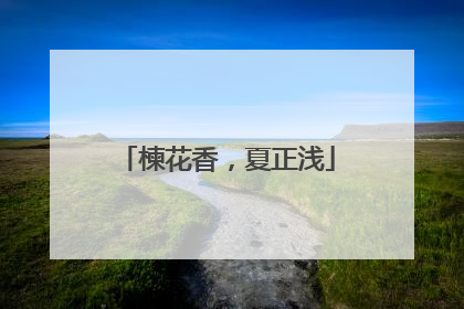 楝花香，夏正浅