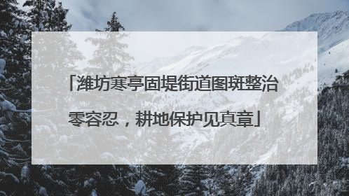 潍坊寒亭固堤街道图斑整治零容忍，耕地保护见真章