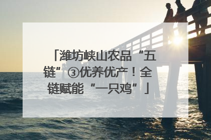 潍坊峡山农品“五链”③优养优产！全链赋能“一只鸡”