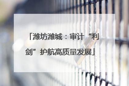 潍坊潍城：审计“利剑”护航高质量发展
