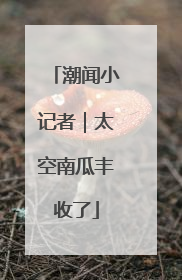 潮闻小记者｜太空南瓜丰收了