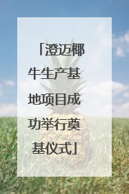 澄迈椰牛生产基地项目成功举行奠基仪式