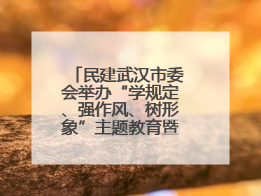 民建武汉市委会举办“学规定、强作风、树形象”主题教育暨参政议政能力素质提升培训班