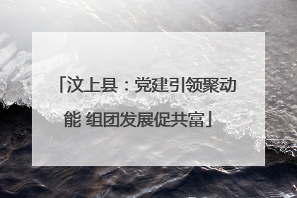汶上县：党建引领聚动能 组团发展促共富