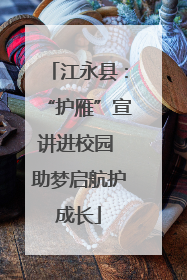 江永县：“护雁”宣讲进校园 助梦启航护成长