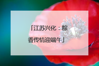 江苏兴化：粽香传情迎端午