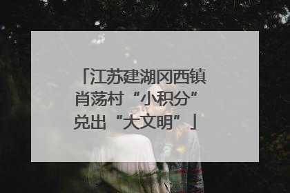 江苏建湖冈西镇肖荡村“小积分”兑出“大文明”