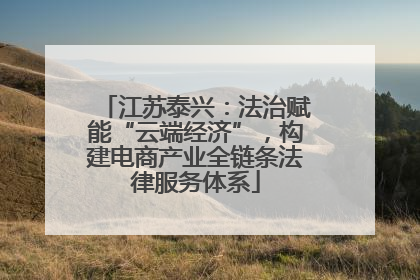 江苏泰兴：法治赋能“云端经济”，构建电商产业全链条法律服务体系