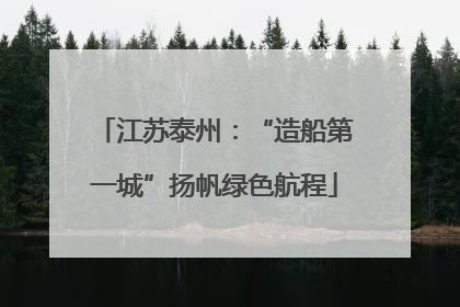 江苏泰州：“造船第一城”扬帆绿色航程