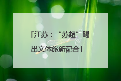 江苏：“苏超”踢出文体旅新配合