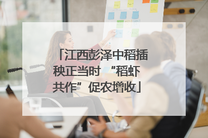 江西彭泽中稻插秧正当时 “稻虾共作”促农增收