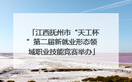 江西抚州市“天工杯”第二届新就业形态领域职业技能竞赛举办
