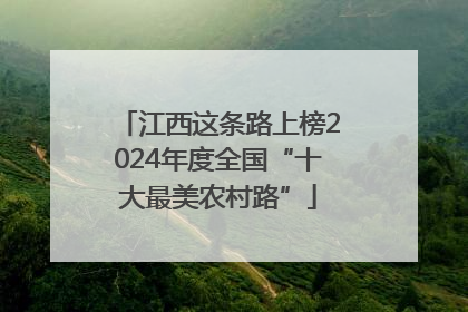 江西这条路上榜2024年度全国“十大最美农村路”