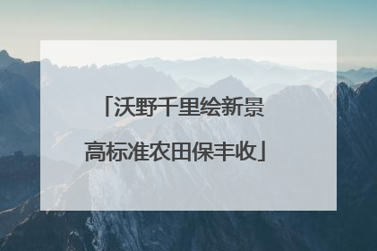 沃野千里绘新景 高标准农田保丰收