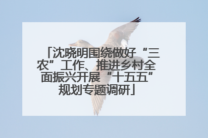 沈晓明围绕做好“三农”工作、推进乡村全面振兴开展“十五五”规划专题调研