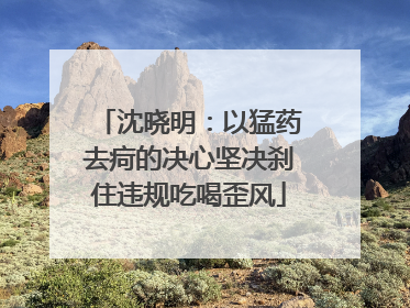沈晓明：以猛药去疴的决心坚决刹住违规吃喝歪风