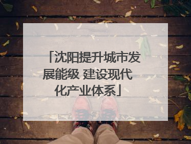 沈阳提升城市发展能级 建设现代化产业体系
