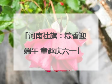 河南社旗：粽香迎端午 童趣庆六一