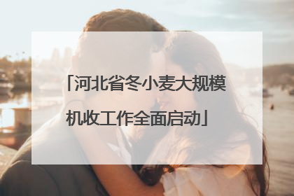 河北省冬小麦大规模机收工作全面启动
