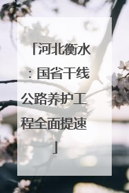 河北衡水：国省干线公路养护工程全面提速