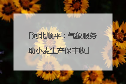 河北顺平：气象服务助小麦生产保丰收