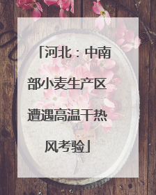 河北：中南部小麦生产区遭遇高温干热风考验