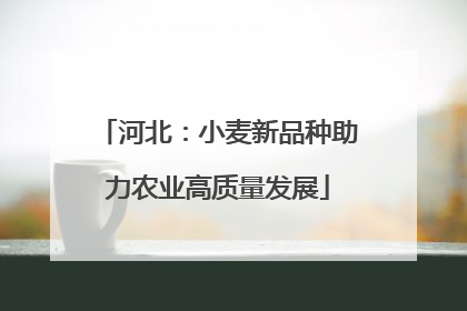 河北：小麦新品种助力农业高质量发展