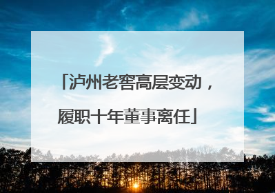 泸州老窖高层变动，履职十年董事离任
