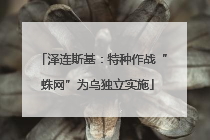 泽连斯基：特种作战“蛛网”为乌独立实施