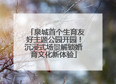泉城首个生育友好主题公园开园！沉浸式场景解锁婚育文化新体验